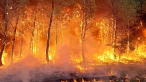 Η Ελλάδα και άλλες 4 χώρες στέλνουν βοήθεια στη Γαλλία για τη μεγάλη πυρκαγιά στο Μπορντό