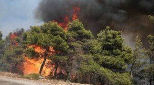 Ενισχύονται ακόμα περισσότερο οι πυροσβεστικές δυνάμεις για την κατάσβεση της πυρκαγιάς στη Θάσο