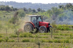 Πληρωμές πάνω από 2 δισ. ευρώ στον αγροτικό τομέα έως το τέλος του 2024