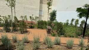Θεσσαλονίκη: Δημιουργήθηκε νέο «πάρκο τσέπης» με 456 αρωματικά φυτά και δέντρα