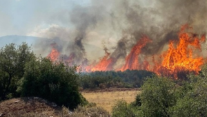Πυρκαγιά σε αγροτοδασική έκταση στην Αγία Τριάδα Βοιωτίας