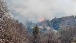 Στους έξι οι νεκροί και 44 οι τραυματίες από μεγάλη αγροτική πυρκαγιά στη νοτιοανατολική Τουρκία