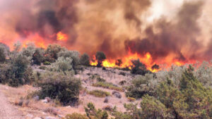 Υπό μερικό έλεγχο η πυρκαγιά σε χαμηλή βλάστηση στην Ασωπία Βοιωτίας