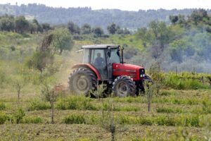 ΕΛΓΑ: Σήμερα η καταβολή των 2,6 ευρώ σε 2.397 δικαιούχους παραγωγούς